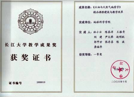 林小云2008年石油地质精品课程一等奖